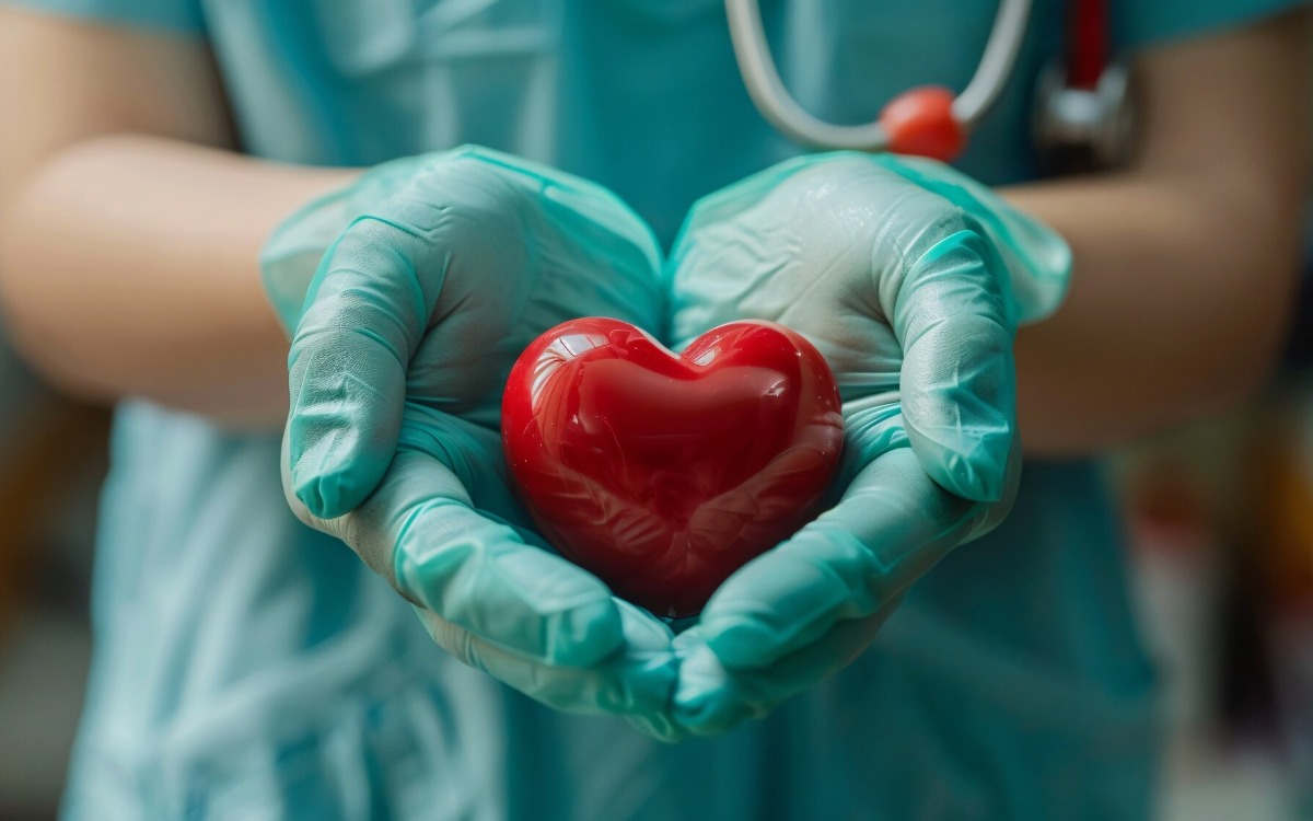 La Fórmula de 24 Meses: ¿Cómo el Ejercicio Borra el Daño Cardíaco por la Edad?